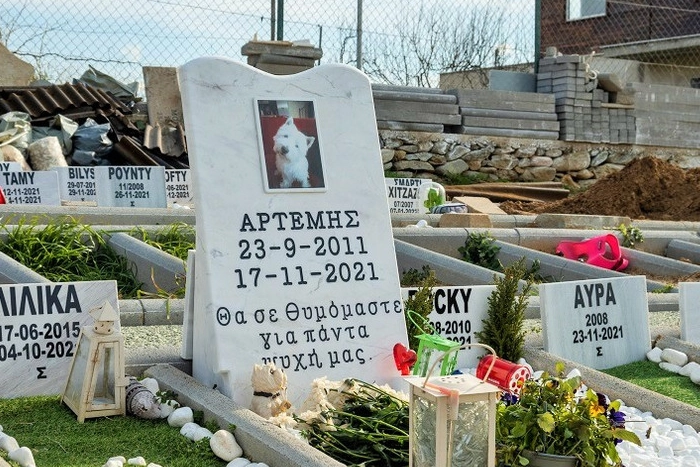 Ταφή σκύλου σε αδειοδοτημένο χώρο του Κοιμητηρίου Ζώων Θεσσαλονίκης Pet Galini με σεβασμό και αξιοπρέπεια