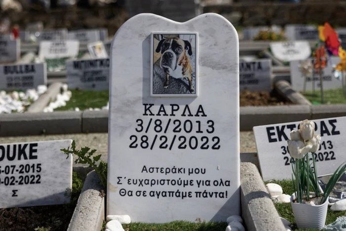 Ταφή σκύλου σε ιδιόκτητο αδειοδοτημένο κοιμητήριο ζώων στη Θεσσαλονίκη Pet Galini με σεβασμό και φροντίδα